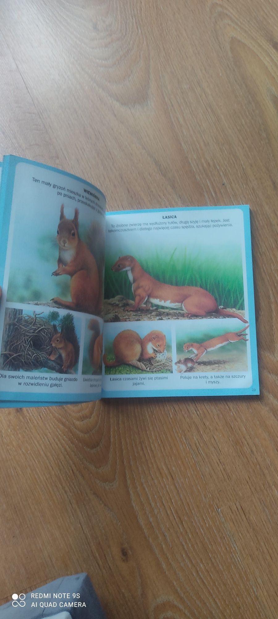 Świat w obrazkach- zwierzęta