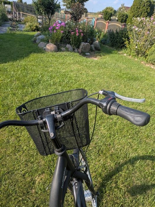 Rower Damski  Teamraider