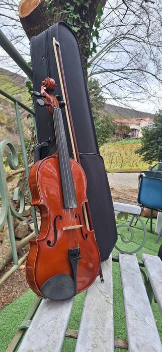 Violinos de vários tamanhos