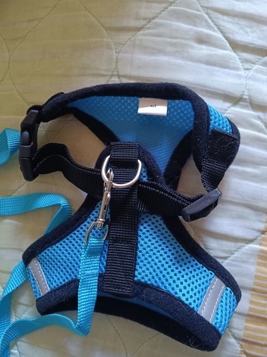 Прогулянковий повідець+шлея для кота,собаки
