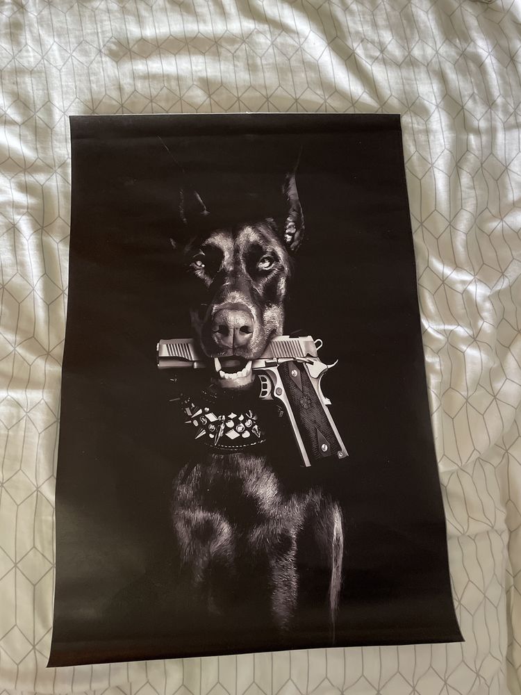 Obraz doberman 40x50