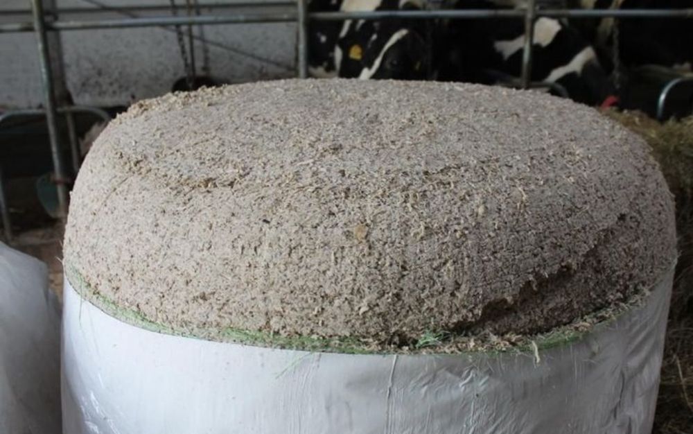 Wysłodki buraczane w belach tegoroczne