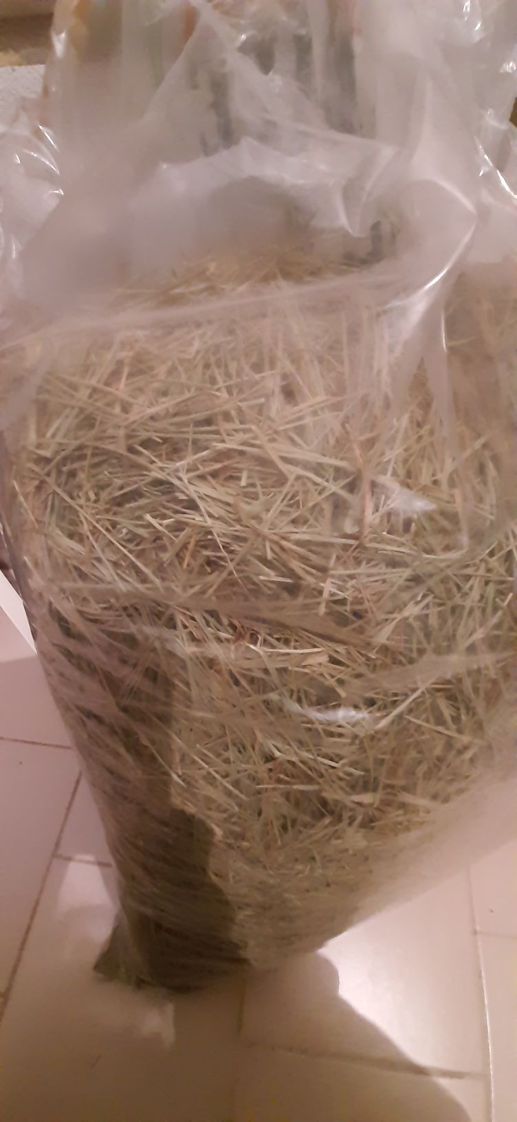 Feno para animais