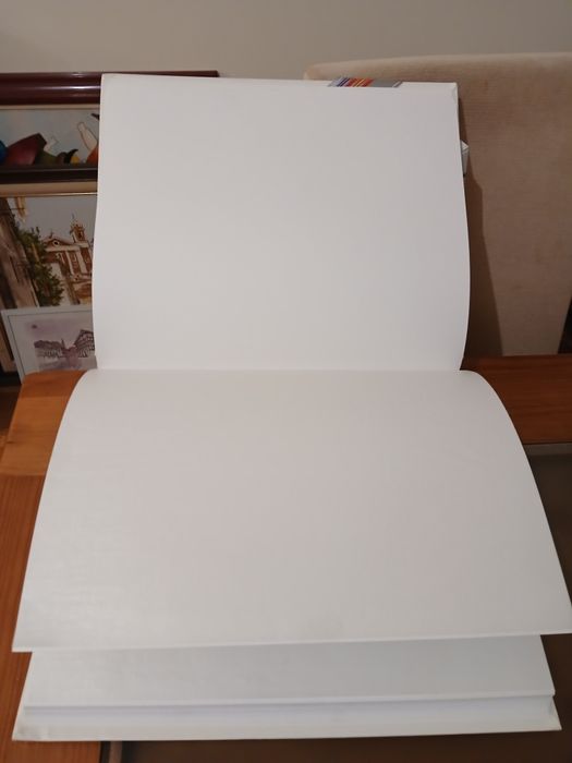 Álbum de casamento novo