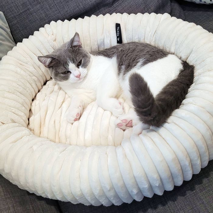 Przytulne legowisko dla psa lub kota LUNA (60x55 cm, Beż)