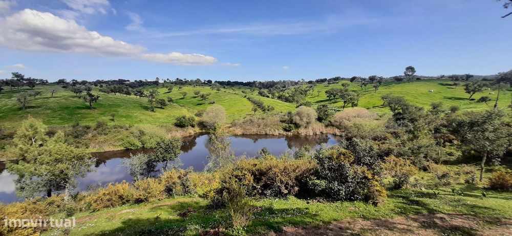 Alcácer do Sal - Herdade 115ha