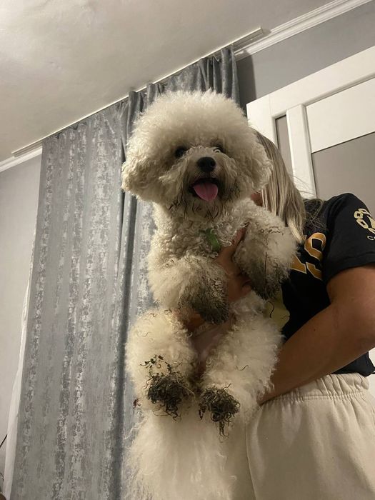 Перетримка  тварин.Любої породи