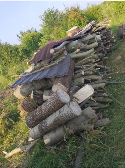 Drewno LIPOWE LIPA, DĄB / GRAB drewno kominkowe opałowe lisciaste