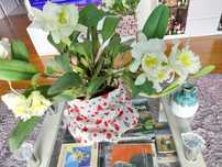 Flores  de qualidade