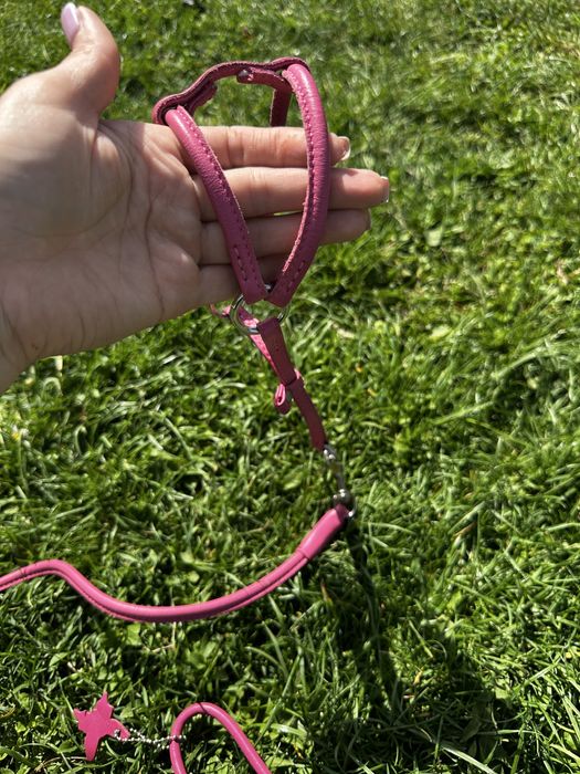 Прводок для кота