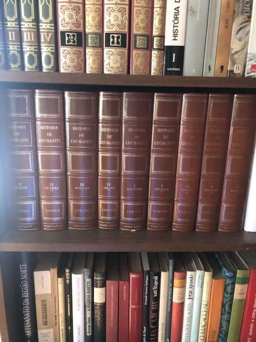 Histoire de L’Humanite