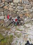 Bivicleta ciclisno