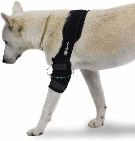 ORTOCANIS - Protetor cotovelo cão - ESQUERDO - tamanho M - NOVO