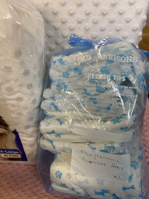 Pieluchy dla psa XL -Micoyo 57 szt