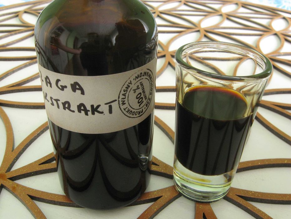 Błyskoporek podkorowy Chaga Czaga 550ml  podwójna ekstrakcja.Full Spec