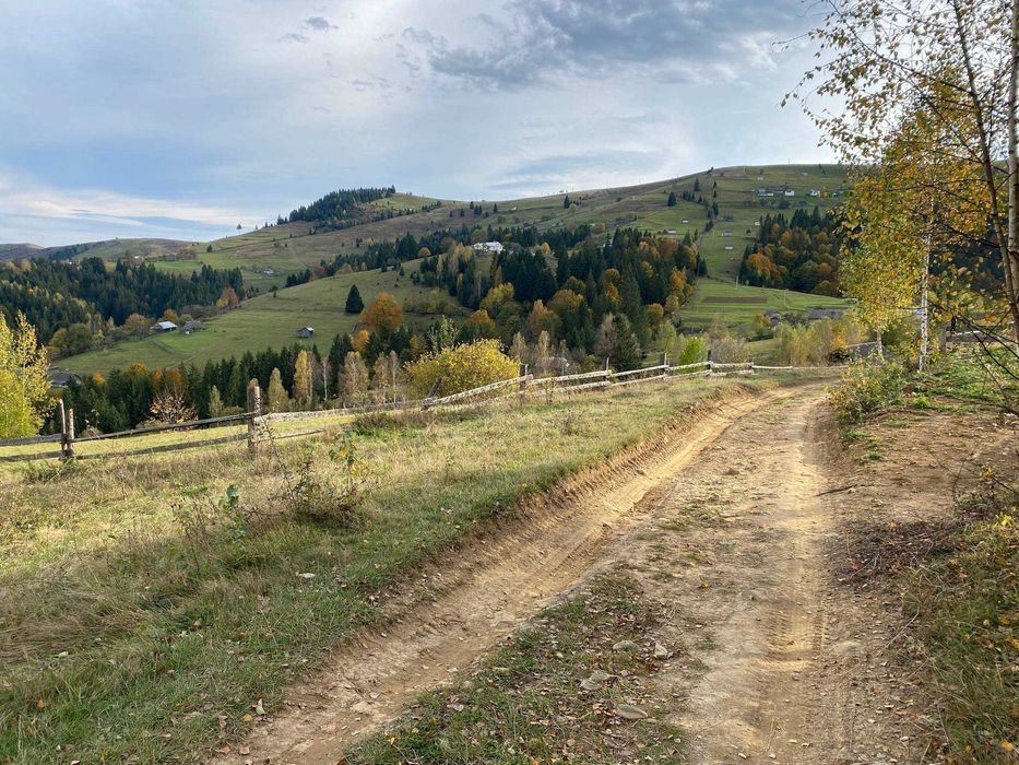 Будинок в Карпатах.