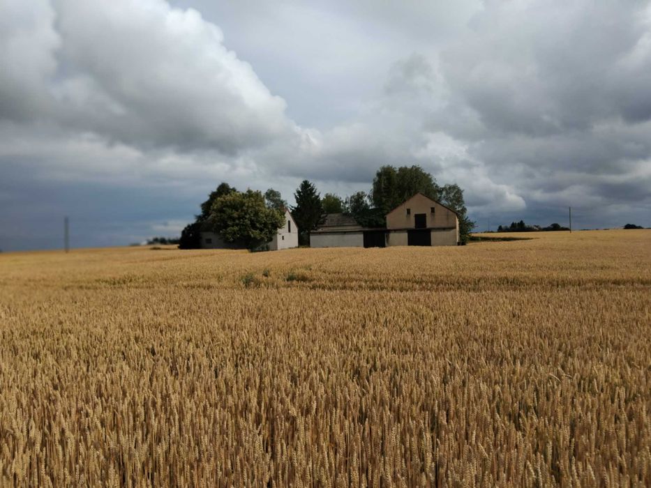 Gospodarstwo , siedlisko ,