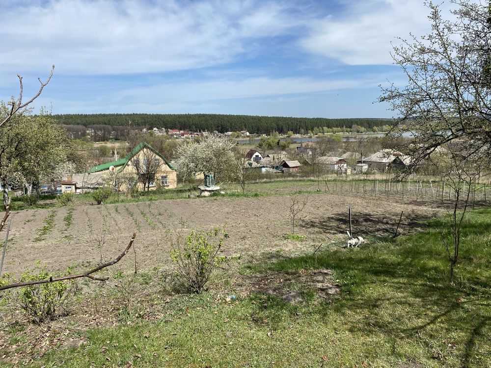 Продам будинок 38 соток землі