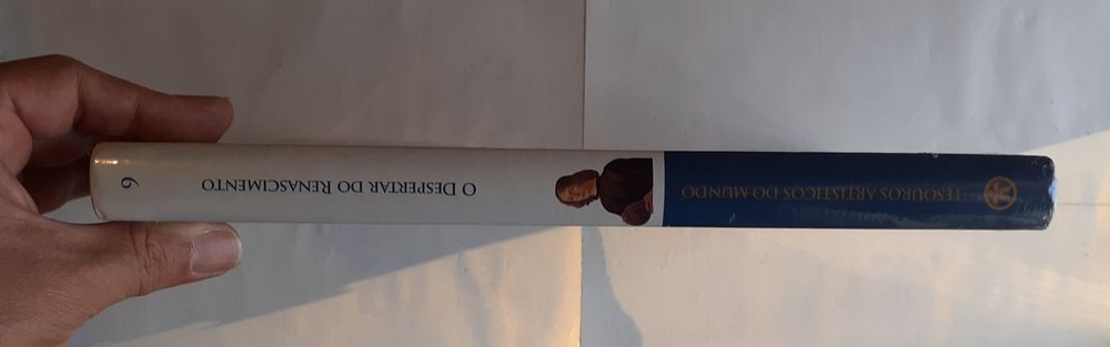 Livro Tesouros Artísticos do Mundo O Despertar do Renascimento