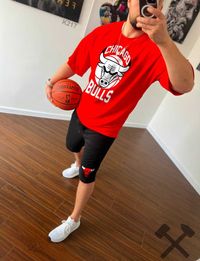 Спортивний чоловічий костюм Bulls ( шорти+футболка)