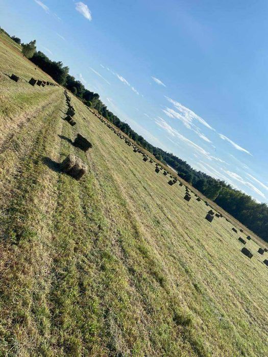 Sprzedam siano w kostkach