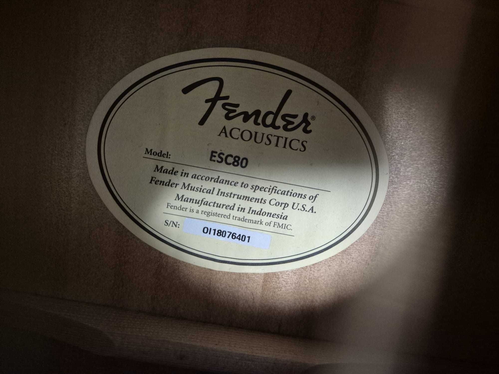 Guitarra Fender Acoustics ESC 80