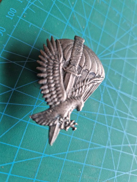 Odznaka 62. Kompania Specjalna Commando