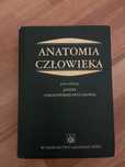 Anatomia człowieka Pituchowa