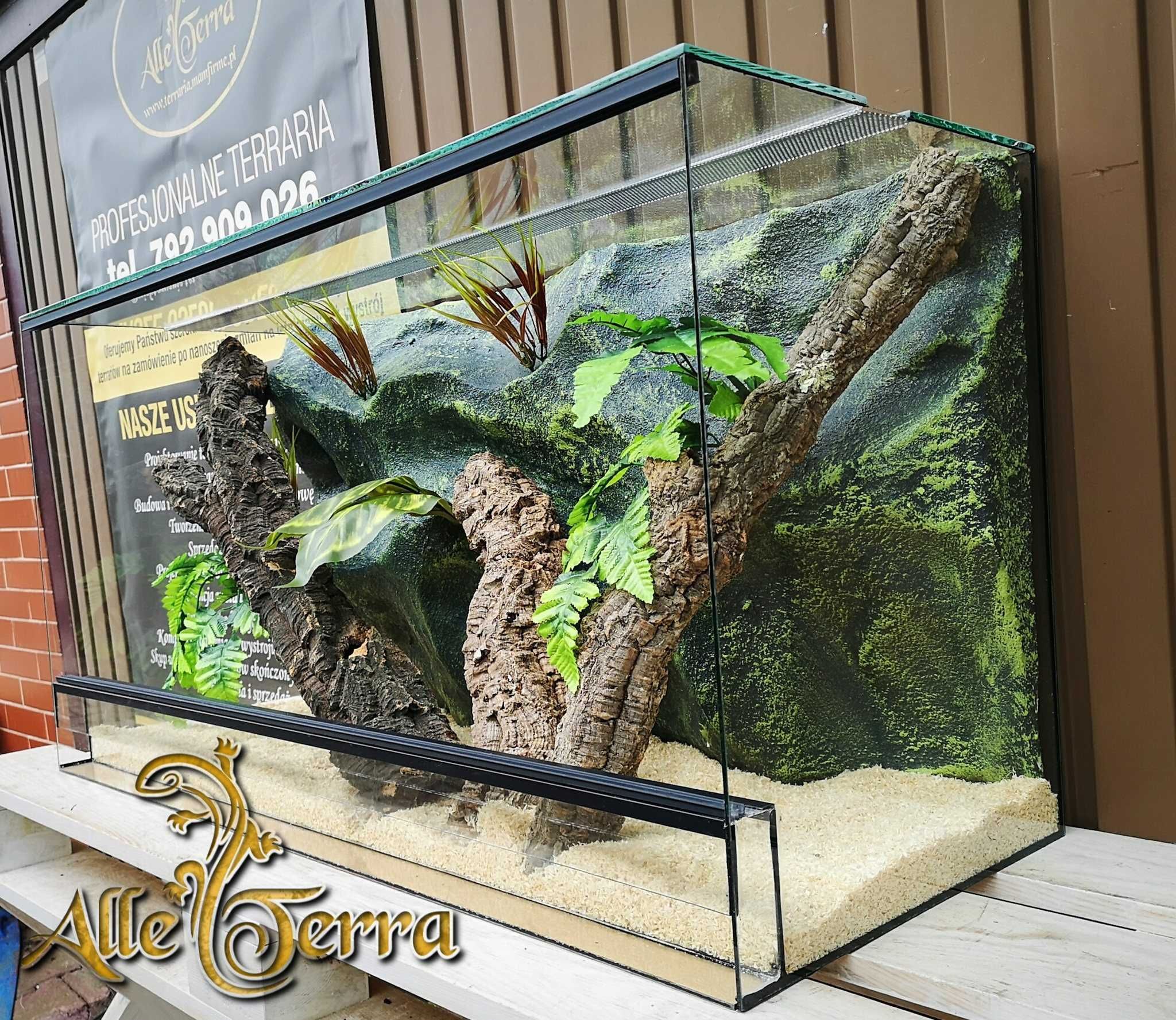 Tło do leśnego terrarium 60x30 cm.