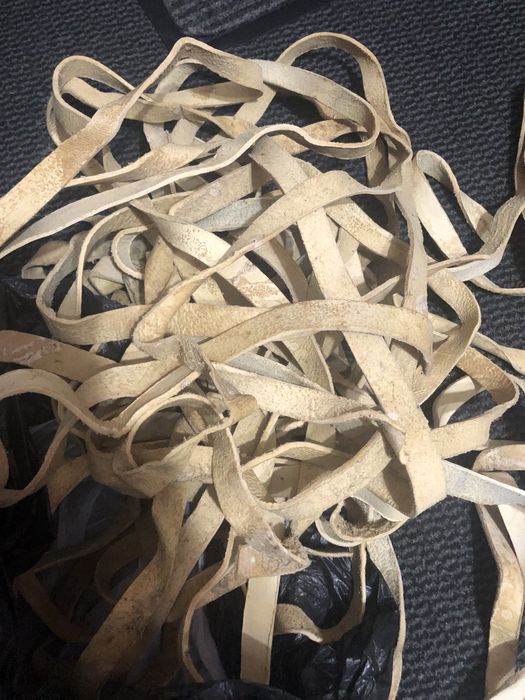 Шкіра на упряж сириця