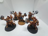 5x Paladins Stormcast Eternals Warhammer AoS