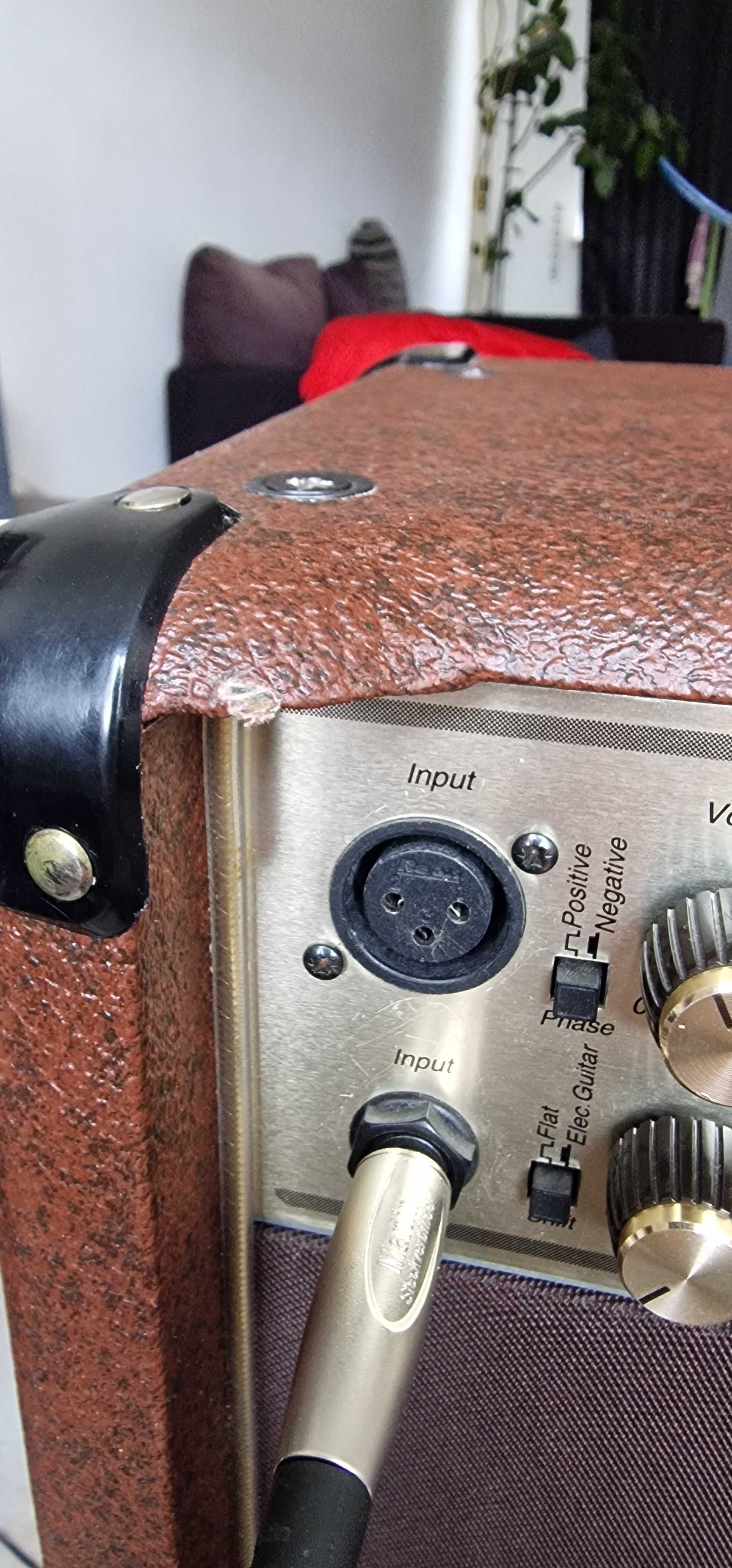 Marshall Acoustic Soloist AS80R