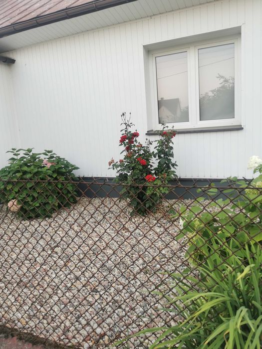 Domek na Podlasiu Ni-noczka