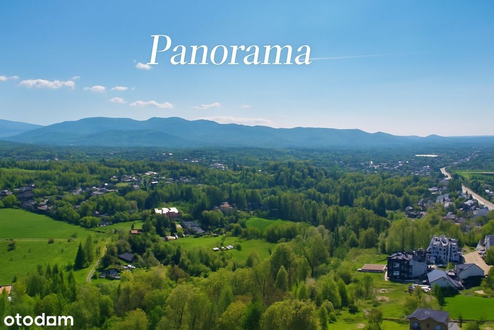 Dom z Potencjałem | pod Działalność/ 3 mieszkania