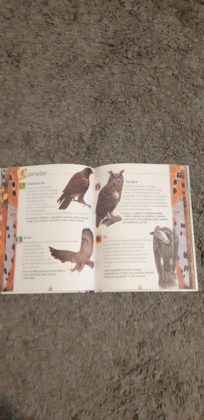 Książka dla dzieci i młodzieży o zwierzętach.