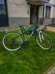 Rower Kross Lea 29”