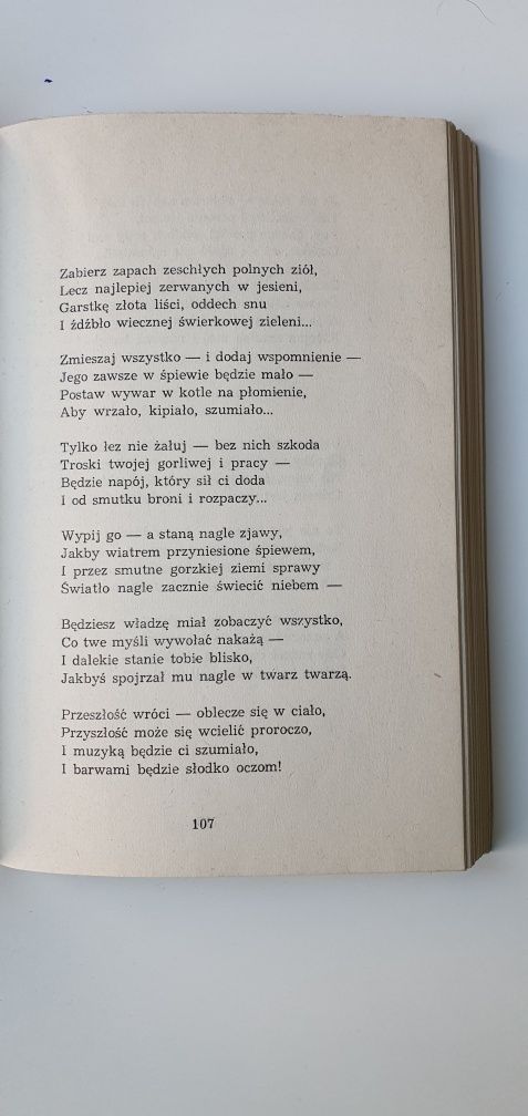 Wojciech Bąk - Zastygłe chwile