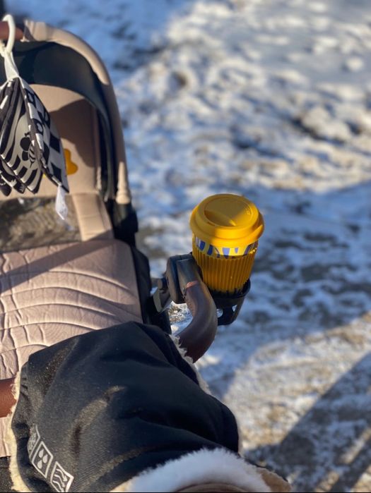 Коляска 2 в 1 українського бренду  luxmom