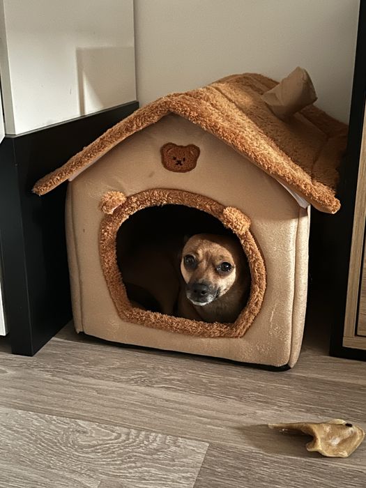 Pluszowa Buda dla psa kota domek legowisko