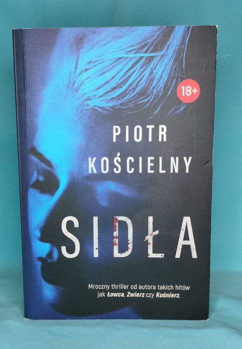 Piotr Kościelny, 3 książki,  seria o komisarzu Sikorze