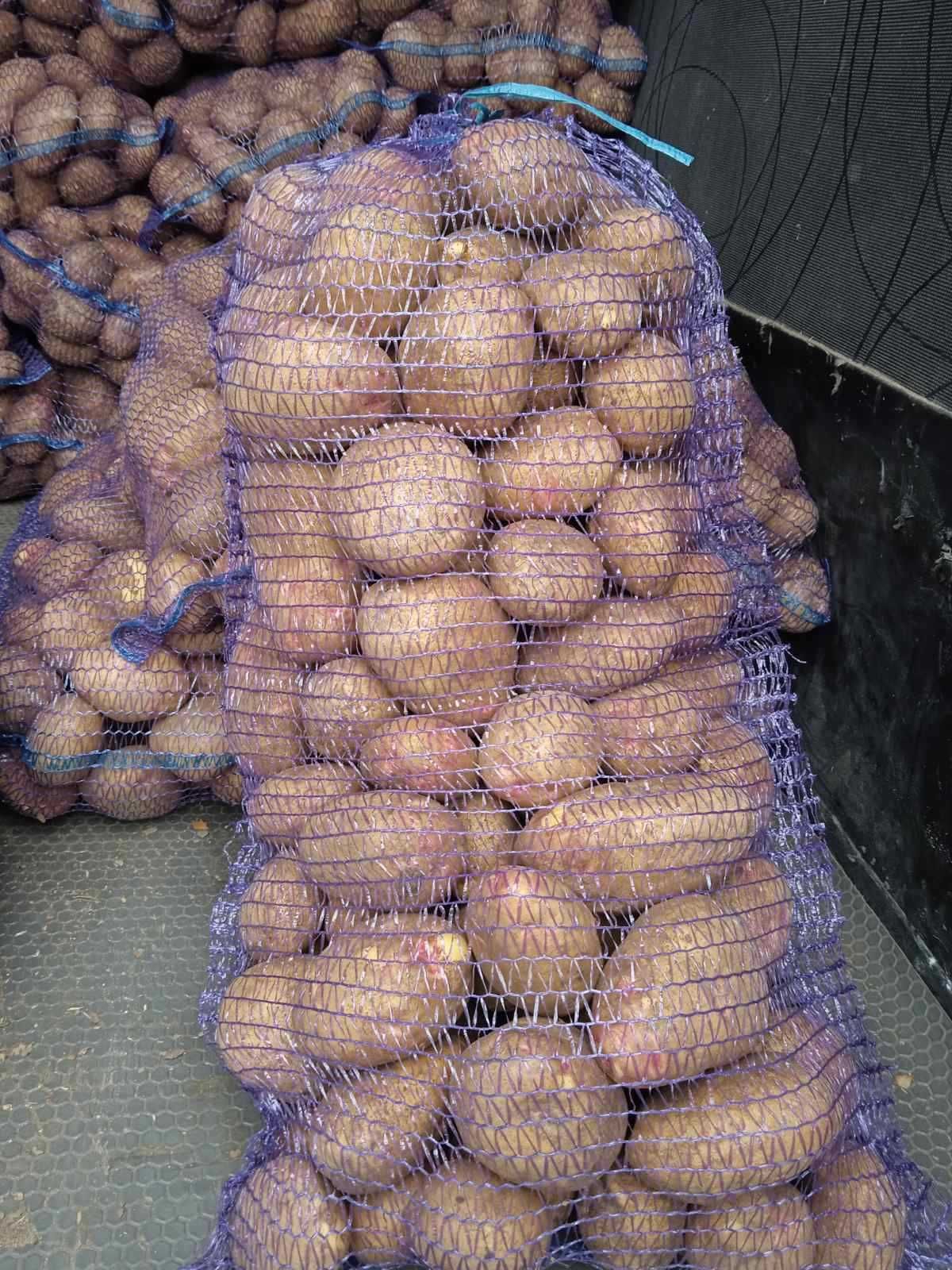 Продам дуже смачну картоплю