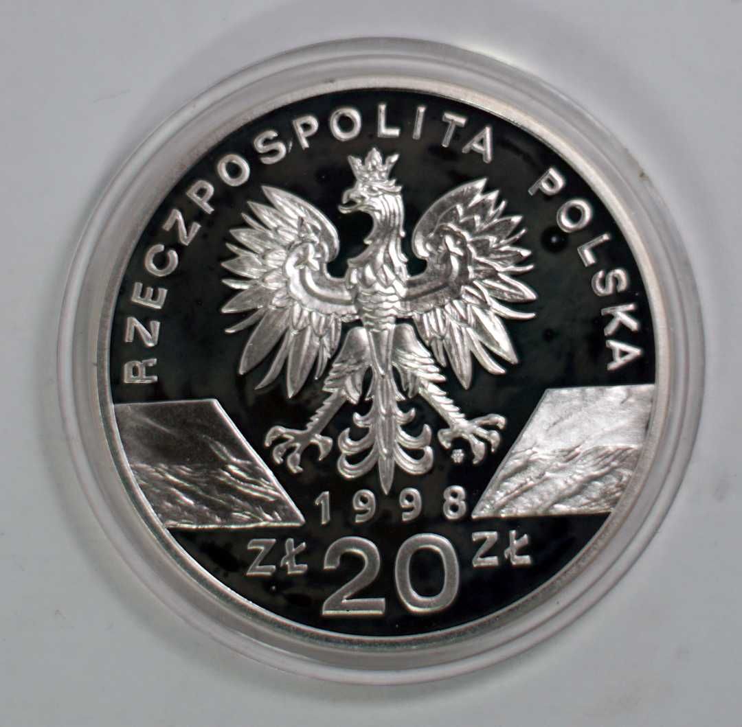 Moneta Srebrna, Ropucha Paskówka, 20zł NBP