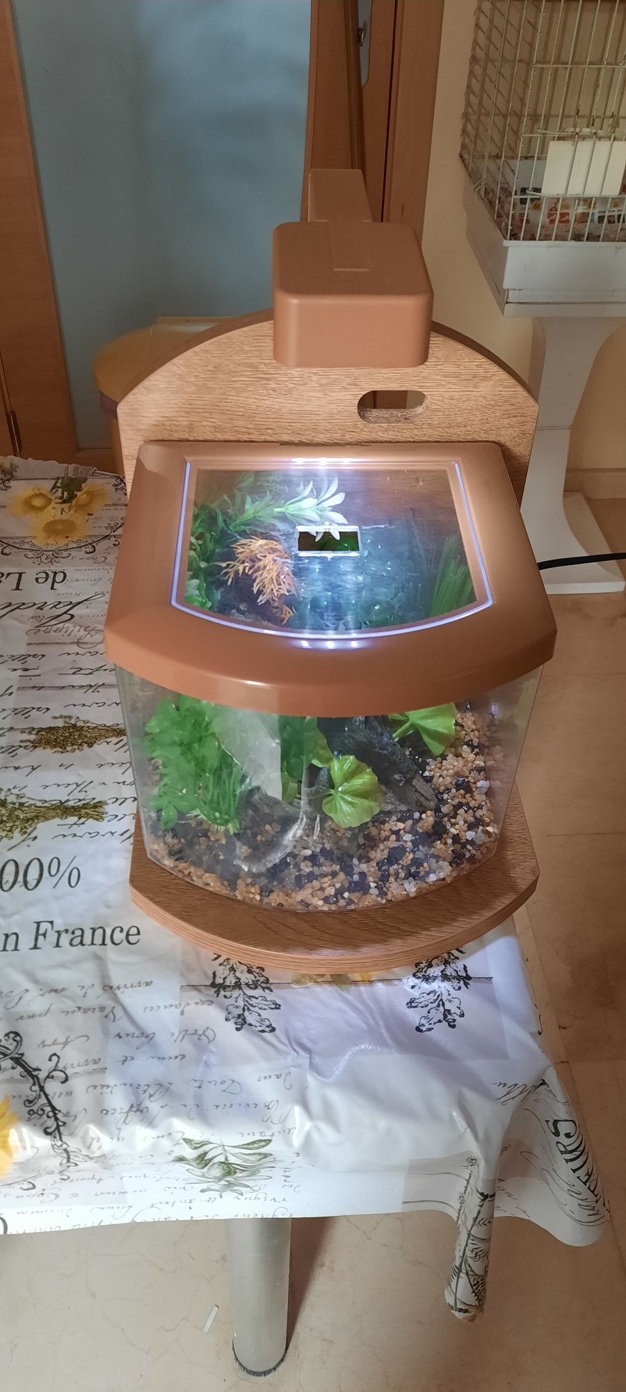 Aquario com aproximadamente 5 litros
