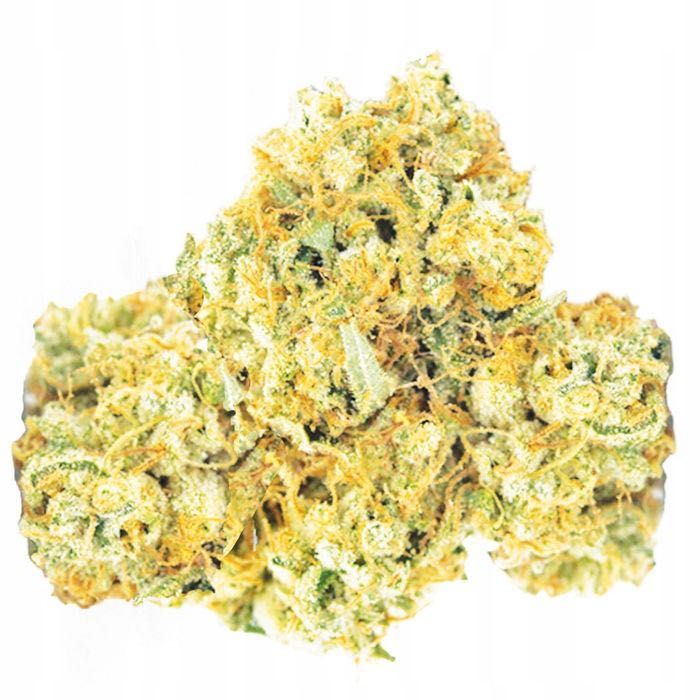 50G Susz CBD Pineapple Haze 0,20% HURT Producent FV Susz konopny