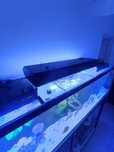 Calha LED's e calha T5