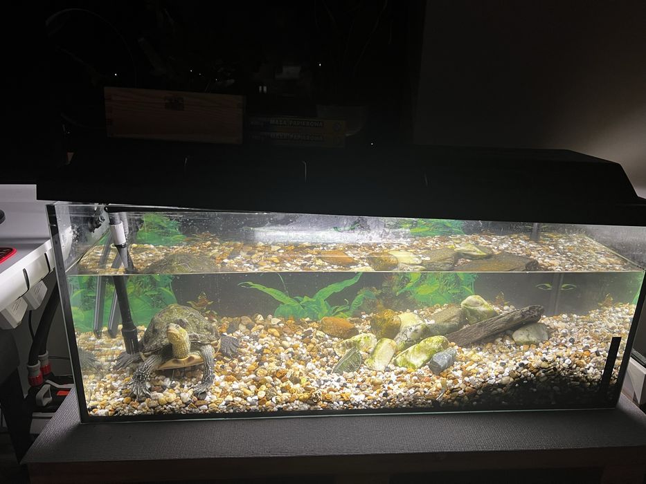 Akwarium 100 L filtr Fluvar 207