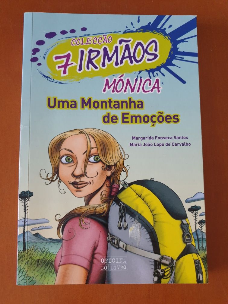 Livro da Colecção 7 irmãos