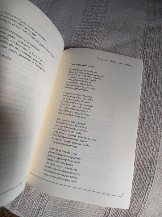 Revista de poesia Sulscrito num 1 verão de 2007