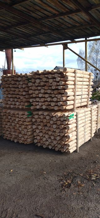 Кілкі окорованні сосна