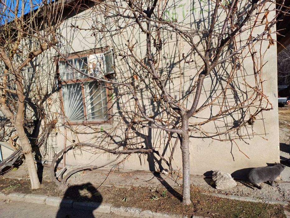 Нежитлова будівля гаража, площею 55,1 кв.м, м. Могилів-Подільський